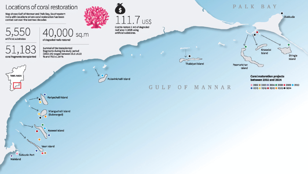 Revival of Coral Reefs in Gulf of Mannar