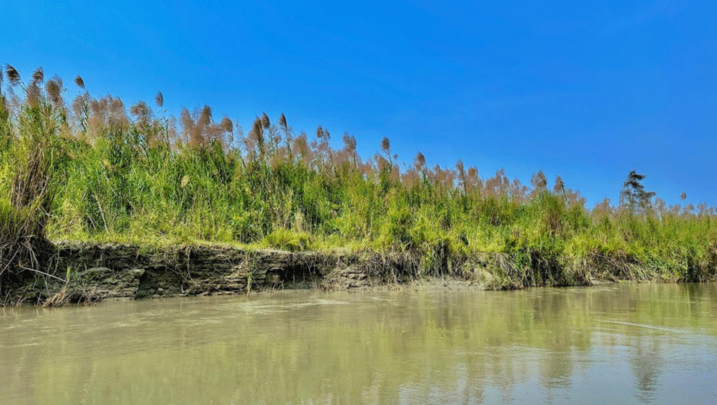 Dibru–Saikhowa National Park