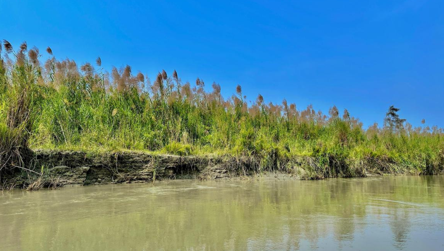 Dibru–Saikhowa National Park