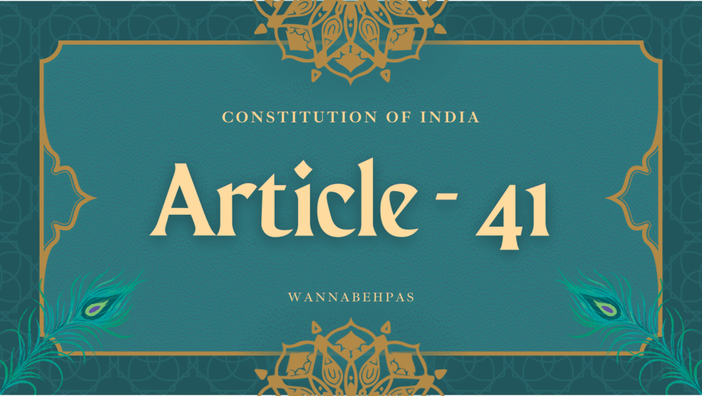 Article 41