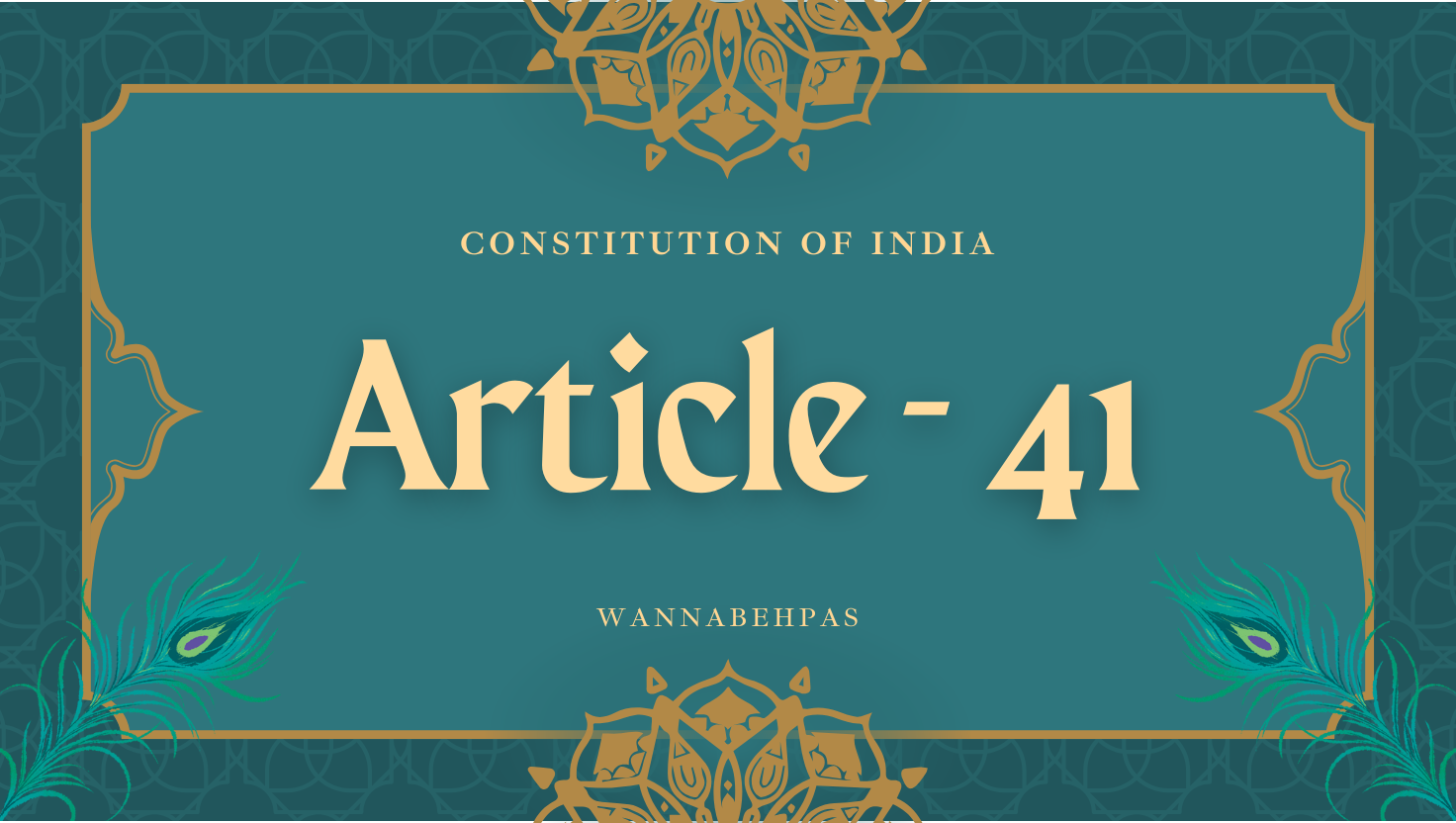 Article 41