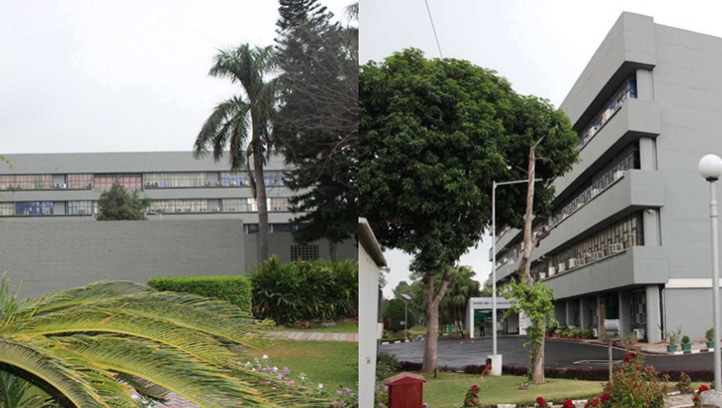 Central Scientific Instruments Organisation (CSIR-CSIO)