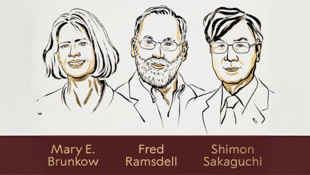 Nobel Prize 2025, Physiology or Medicine