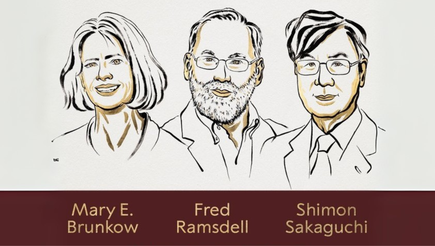 Nobel Prize 2025, Physiology or Medicine