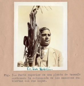 Pandurang Khankhoje (1886 - 1967) agronomist and a political revolutionary and co-founder of the Ghadar Party