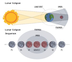 Infographic of lunar eclipse stages in flat style on white background. Moon's orbit, umber and penumbra. Blood moon phases. The contact of the earth shadow with the moon